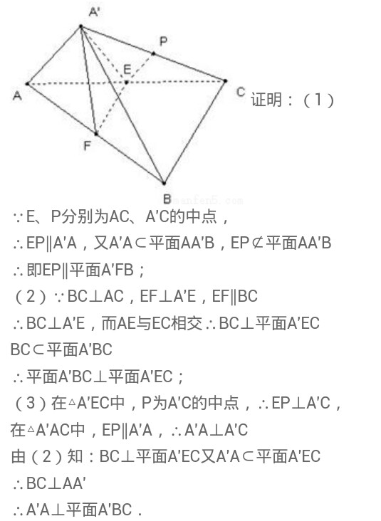 初生牛儿不怕虎早春二月柳叶垂打一生肖，详细解答、前沿解答解释落实