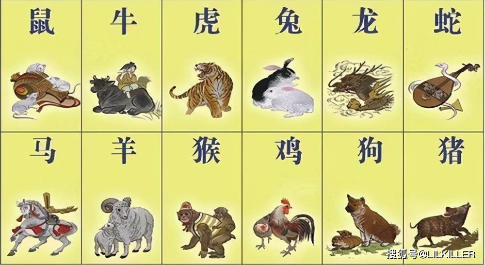 振聋发聩打一准确生肖仔细释义、解释与落实、前沿解答解释落实