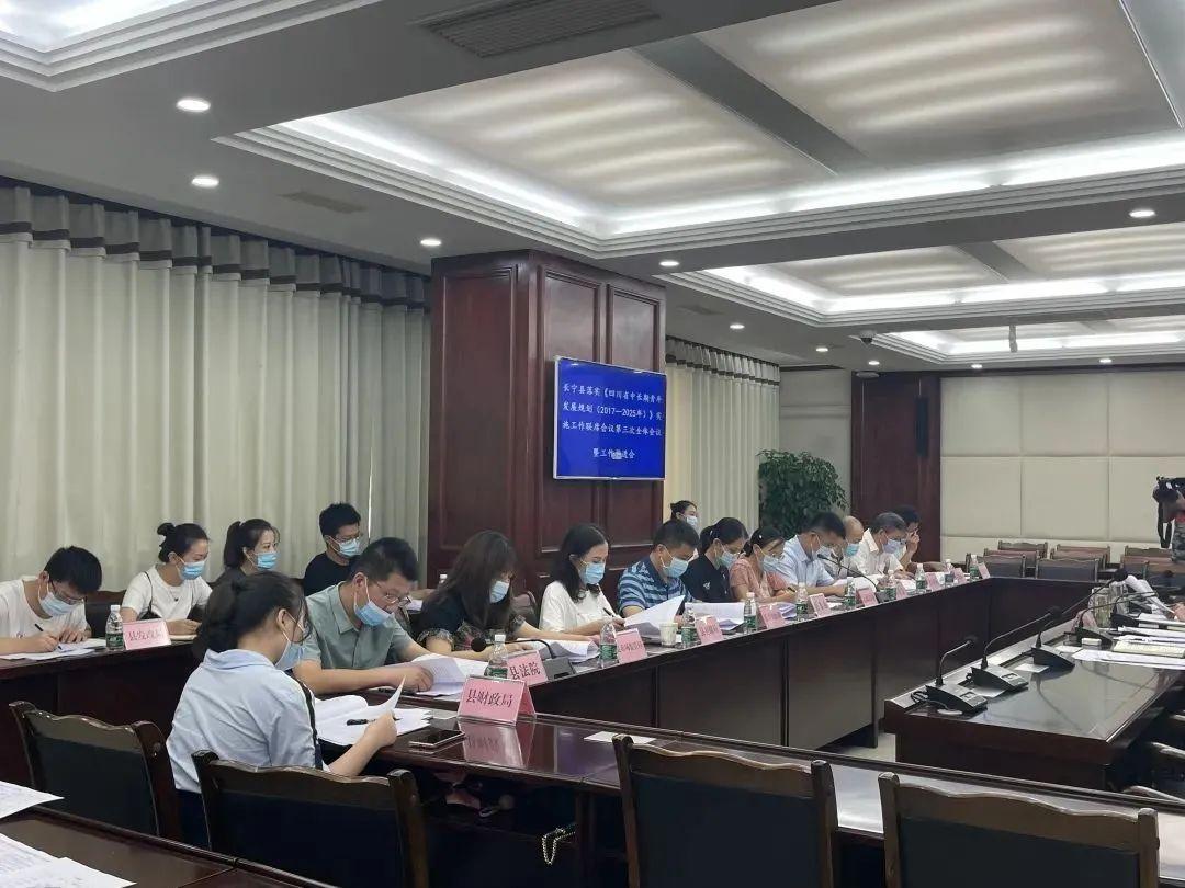 手執鸡毛，难变令箭，不是发梦即发颠打一准确生肖全面释义、统计解答解释落实