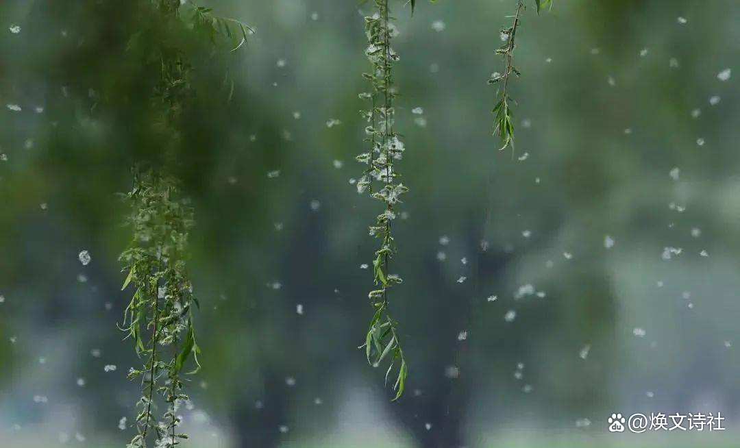 素衣輕拂圓球手持细雨斜风晚更多打一准确生肖请全面2释义、解释与落实、构建解答解释落实