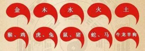 水门红蜡一行斜打生肖全面释义、前沿解答解释落实