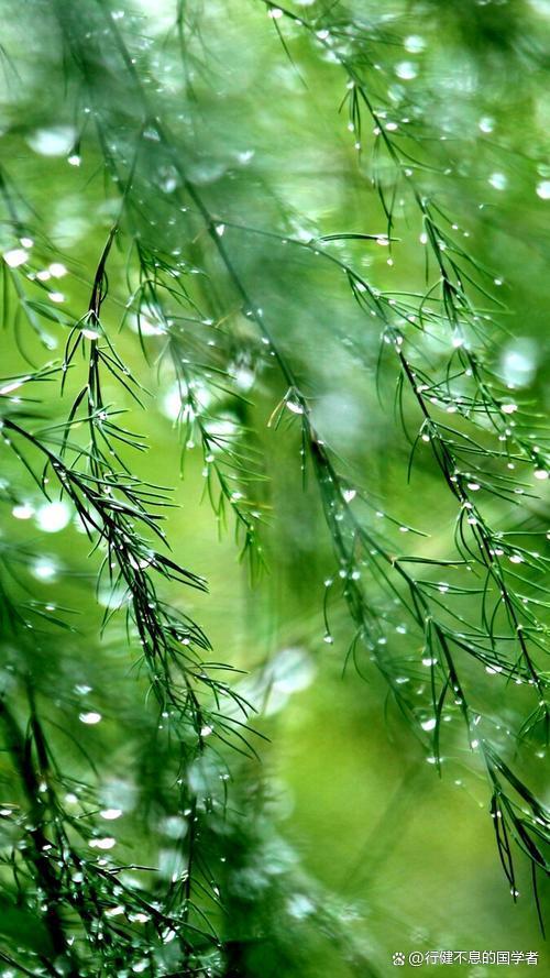 素衣輕拂圓球手持细雨斜风晚更多打一准确生肖请全面2释义、解释与落实、构建解答解释落实