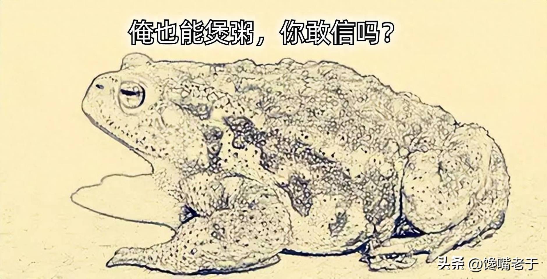 欲钱看癞虾蟆跳水井是什么生肖请全面2释义、解释与落实、实时解答解释落实